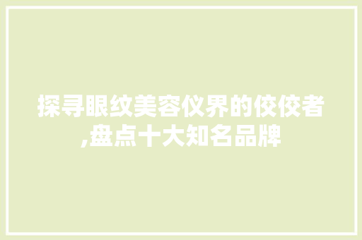 探寻眼纹美容仪界的佼佼者,盘点十大知名品牌