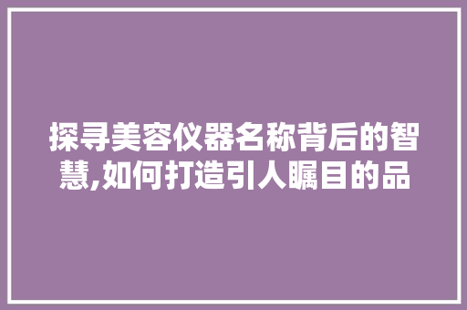 探寻美容仪器名称背后的智慧,如何打造引人瞩目的品牌