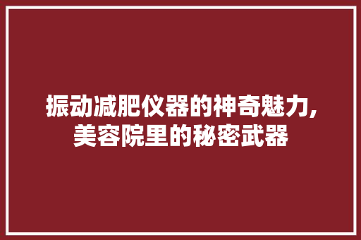 振动减肥仪器的神奇魅力,美容院里的秘密武器
