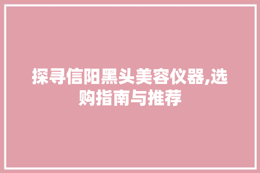 探寻信阳黑头美容仪器,选购指南与推荐