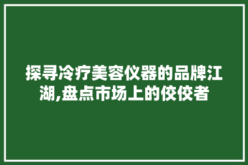 探寻冷疗美容仪器的品牌江湖,盘点市场上的佼佼者