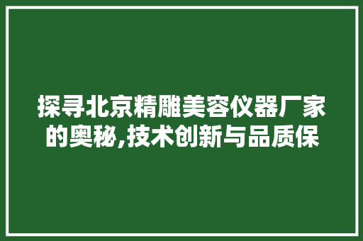 探寻北京精雕美容仪器厂家的奥秘,技术创新与品质保障的摇篮