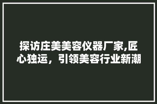 探访庄美美容仪器厂家,匠心独运，引领美容行业新潮流