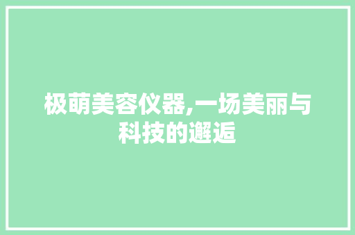 极萌美容仪器,一场美丽与科技的邂逅