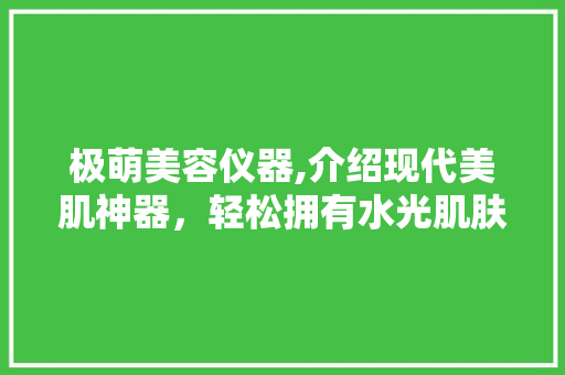 极萌美容仪器,介绍现代美肌神器，轻松拥有水光肌肤