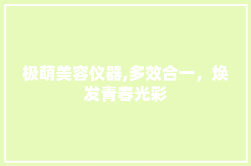 极萌美容仪器,多效合一，焕发青春光彩