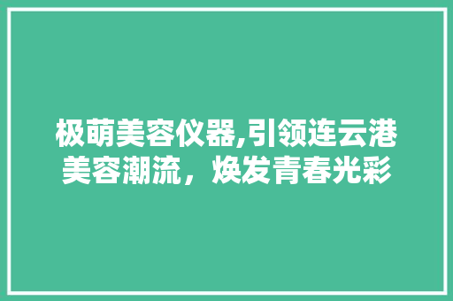 极萌美容仪器,引领连云港美容潮流，焕发青春光彩