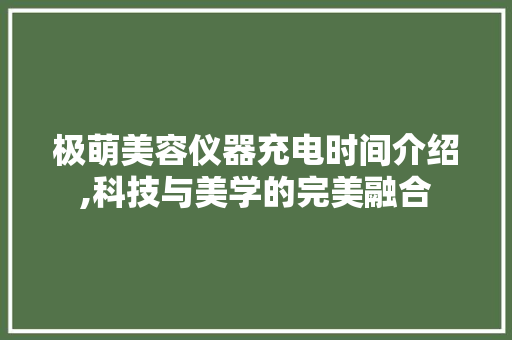 极萌美容仪器充电时间介绍,科技与美学的完美融合 综合便民