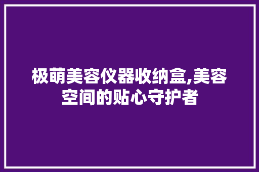 极萌美容仪器收纳盒,美容空间的贴心守护者 综合便民