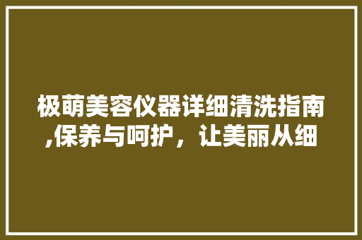 极萌美容仪器详细清洗指南,保养与呵护,让美丽从细节开始 综合便民 极萌美容仪器详细清洗指南,保养与呵护,让美丽从细节开始 综合便民