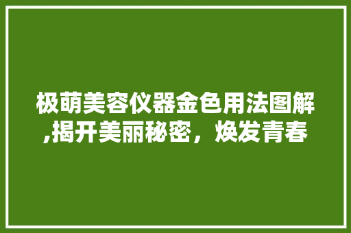极萌美容仪器金色用法图解,揭开美丽秘密，焕发青春光彩
