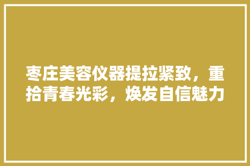 枣庄美容仪器提拉紧致，重拾青春光彩，焕发自信魅力