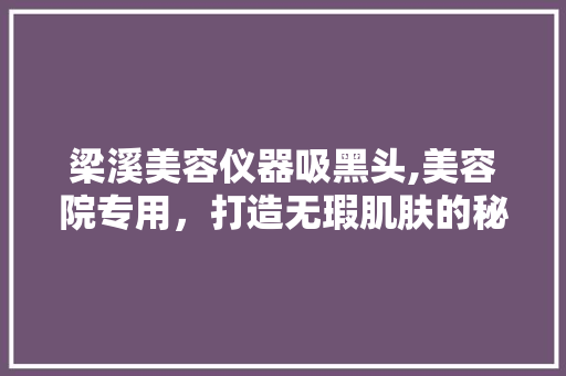 梁溪美容仪器吸黑头,美容院专用，打造无瑕肌肤的秘密武器 母婴育儿