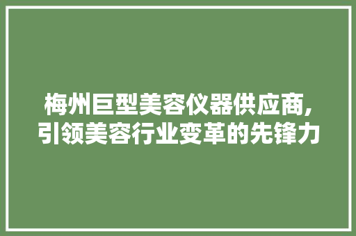 梅州巨型美容仪器供应商,引领美容行业变革的先锋力量