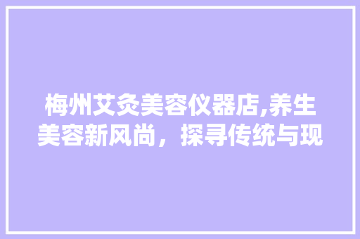 梅州艾灸美容仪器店,养生美容新风尚，探寻传统与现代的完美融合