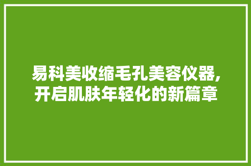 易科美收缩毛孔美容仪器,开启肌肤年轻化的新篇章