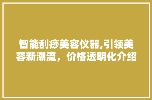 智能刮痧美容仪器,引领美容新潮流，价格透明化介绍