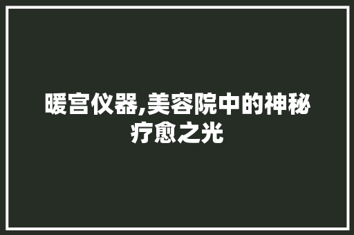 暖宫仪器,美容院中的神秘疗愈之光
