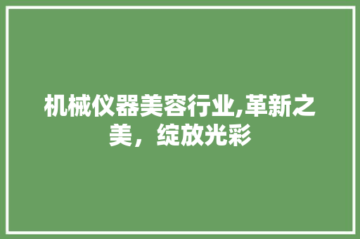 机械仪器美容行业,革新之美，绽放光彩