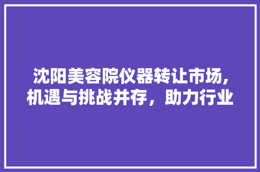 沈阳美容院仪器转让市场,机遇与挑战并存，助力行业转型升级