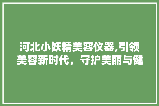 河北小妖精美容仪器,引领美容新时代，守护美丽与健康