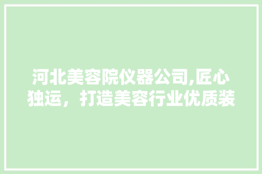 河北美容院仪器公司,匠心独运，打造美容行业优质装备