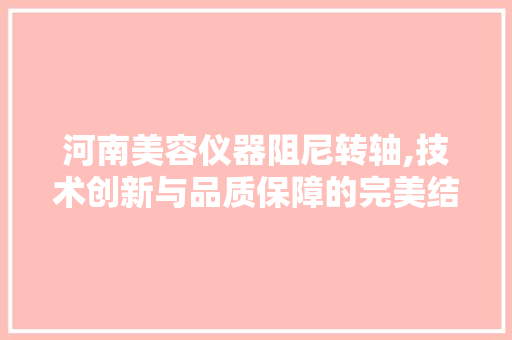 河南美容仪器阻尼转轴,技术创新与品质保障的完美结合