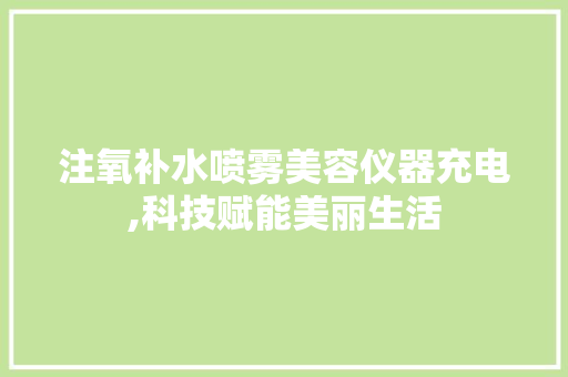 注氧补水喷雾美容仪器充电,科技赋能美丽生活