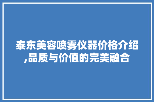 泰东美容喷雾仪器价格介绍,品质与价值的完美融合