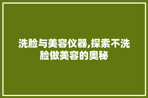 洗脸与美容仪器,探索不洗脸做美容的奥秘