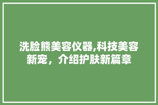 洗脸熊美容仪器,科技美容新宠，介绍护肤新篇章