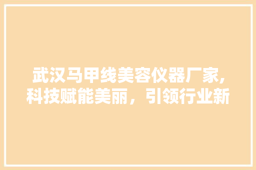 武汉马甲线美容仪器厂家,科技赋能美丽，引领行业新潮流