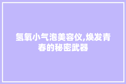 氢氧小气泡美容仪,焕发青春的秘密武器