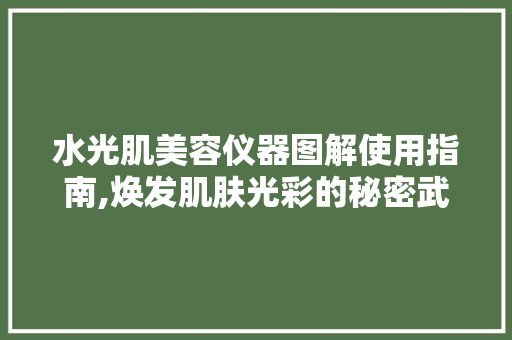 水光肌美容仪器图解使用指南,焕发肌肤光彩的秘密武器