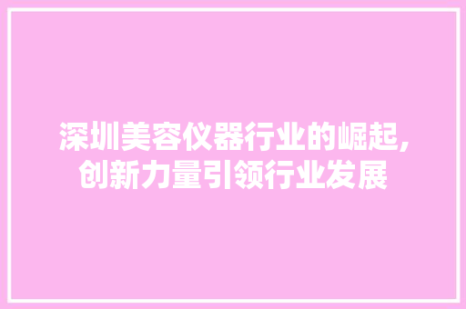 深圳美容仪器行业的崛起,创新力量引领行业发展