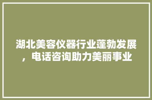 湖北美容仪器行业蓬勃发展，电话咨询助力美丽事业