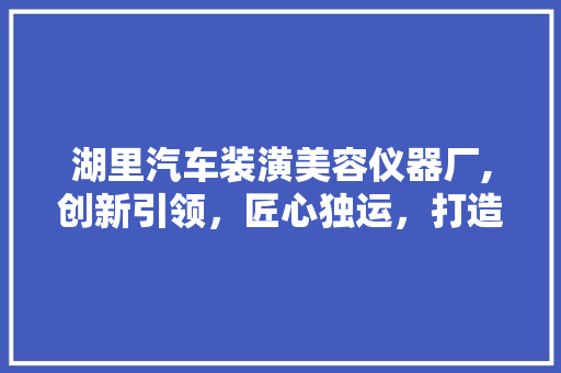 湖里汽车装潢美容仪器厂,创新引领，匠心独运，打造汽车美容行业新标杆