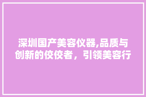 深圳国产美容仪器,品质与创新的佼佼者，引领美容行业新潮流