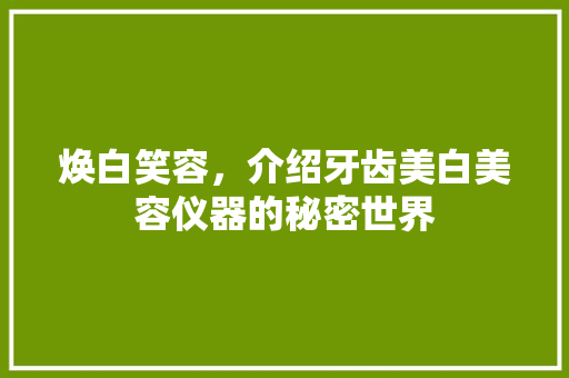 焕白笑容，介绍牙齿美白美容仪器的秘密世界 饮食大全