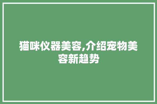 猫咪仪器美容,介绍宠物美容新趋势