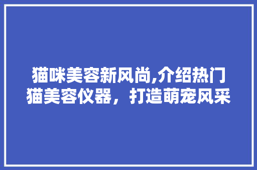 猫咪美容新风尚,介绍热门猫美容仪器，打造萌宠风采！