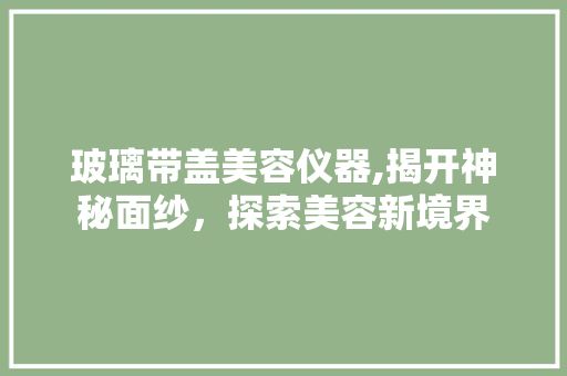 玻璃带盖美容仪器,揭开神秘面纱，探索美容新境界 综合便民