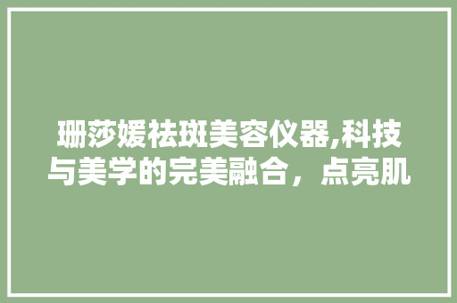 珊莎媛祛斑美容仪器,科技与美学的完美融合，点亮肌肤自信之光