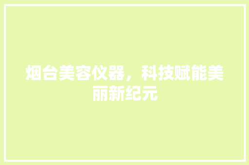烟台美容仪器，科技赋能美丽新纪元