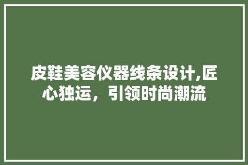 皮鞋美容仪器线条设计,匠心独运，引领时尚潮流