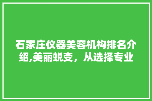 石家庄仪器美容机构排名介绍,美丽蜕变，从选择专业机构开始