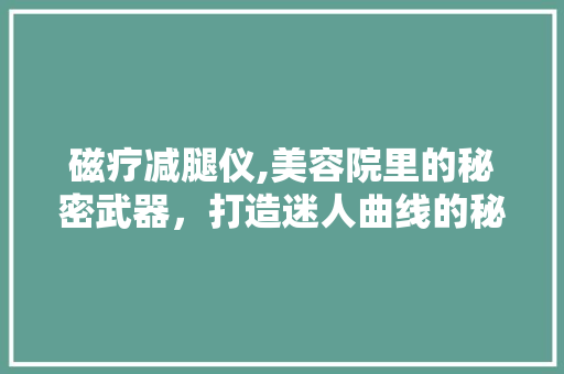 磁疗减腿仪,美容院里的秘密武器，打造迷人曲线的秘密！