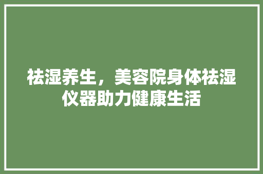 祛湿养生，美容院身体祛湿仪器助力健康生活 母婴育儿