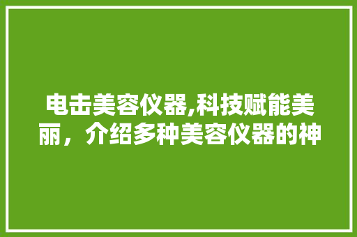 电击美容仪器,科技赋能美丽，介绍多种美容仪器的神奇力量