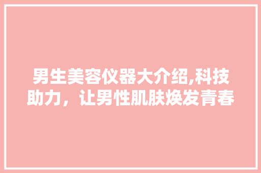 男生美容仪器大介绍,科技助力，让男性肌肤焕发青春光彩 美体修身